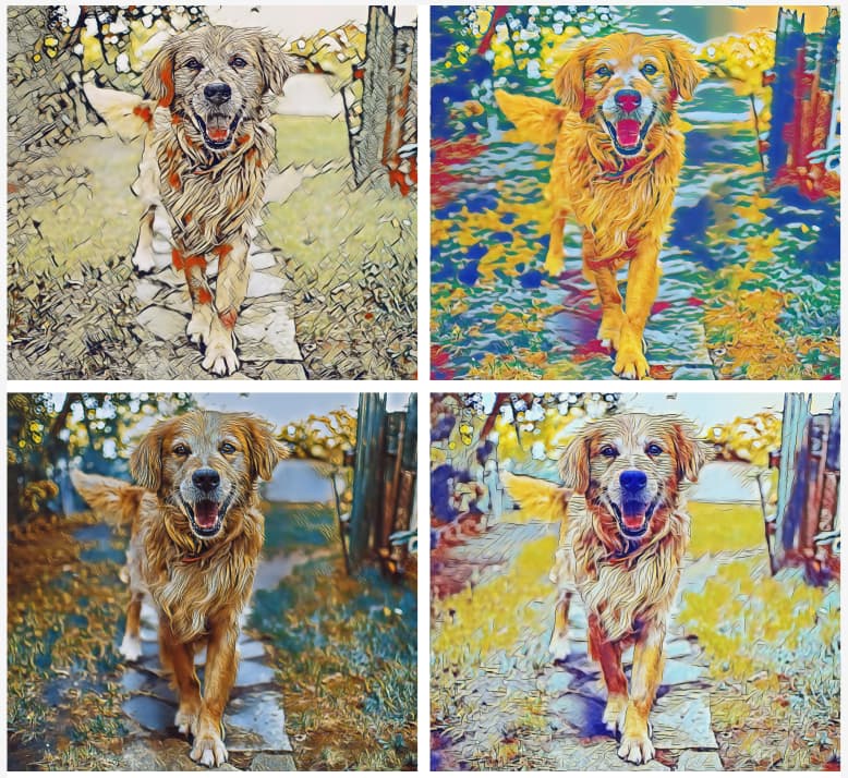 One photo displayed in multiple artistic styles for canvas prints
